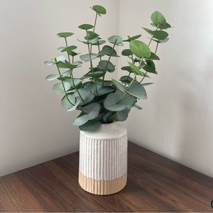 Faux Plant 🪴 Decoration